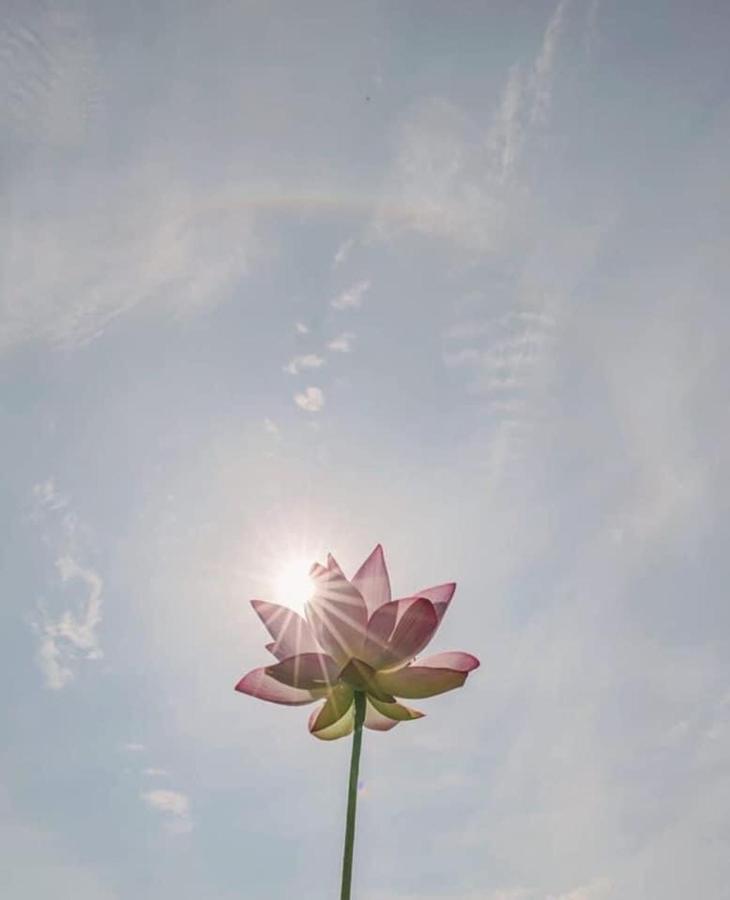 Khach San Flower Sky Нячанг Экстерьер фото